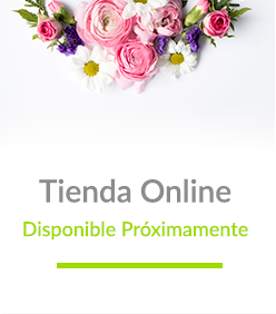 Tienda